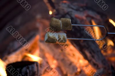 marshmellow