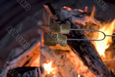 marshmellow