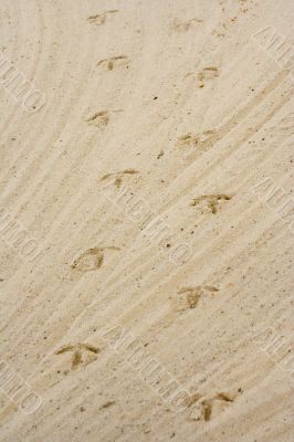 footsteps