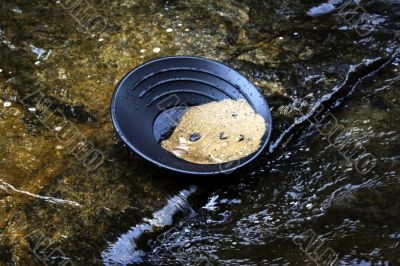 gold panning prospecting