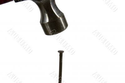 Hammerd