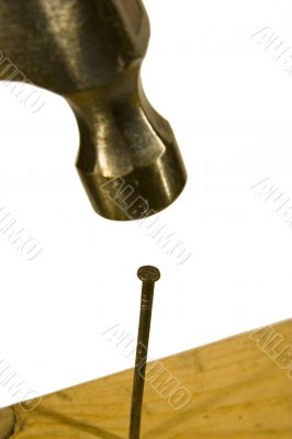 Hammerd