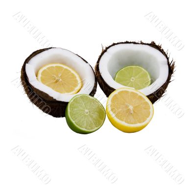 lemon lime coconut