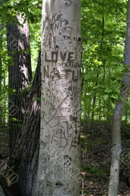 Love of carving