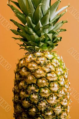 orange pineapple