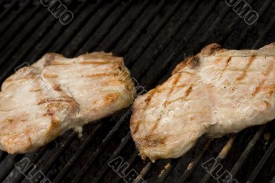Porkchops