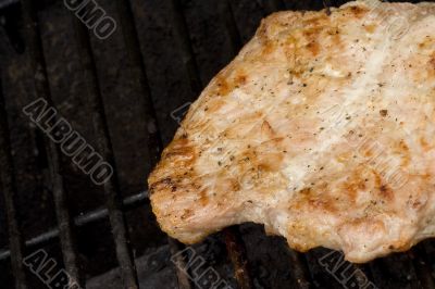 Porkchops