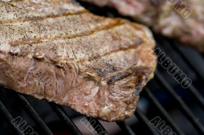 cooking out