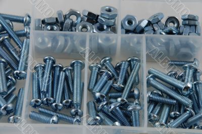 Screws and nuts
