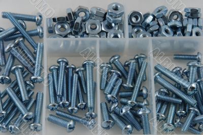Screws and nuts