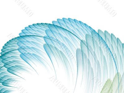 Flat Feathers