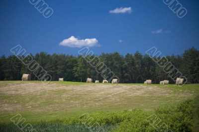 sommer landscape