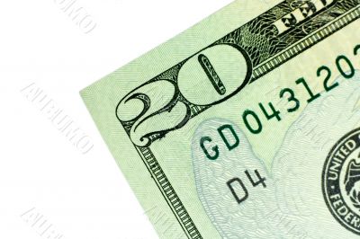 Corner of Twenty Dollar Bill