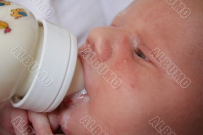 Newborn