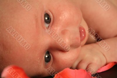 Newborn