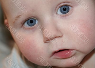 Babyportrait
