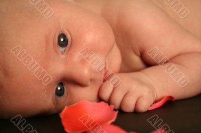 little baby