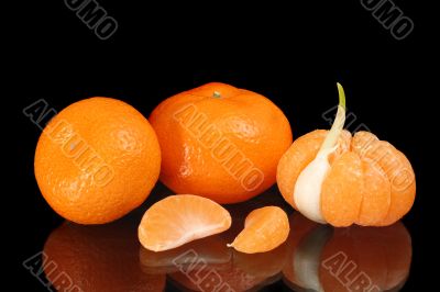 Mandarines