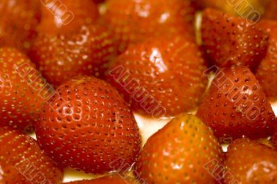 sweet strawberry