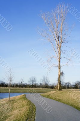water walkway