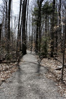 walkway