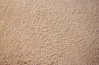 textured wall