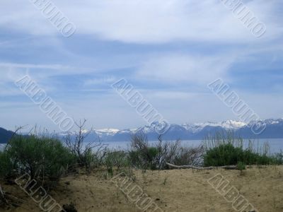 Landscapes