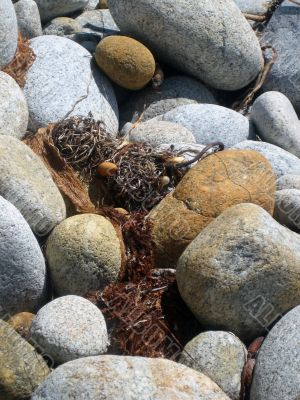 In the beach