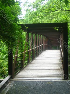 Wooden bridge
