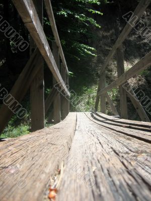 Bridge