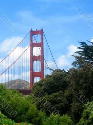 Bridges over bay