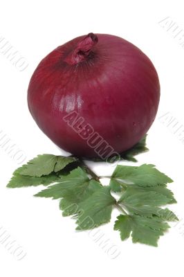 Red onion and celery