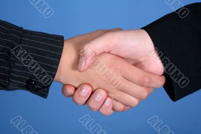 Handshake