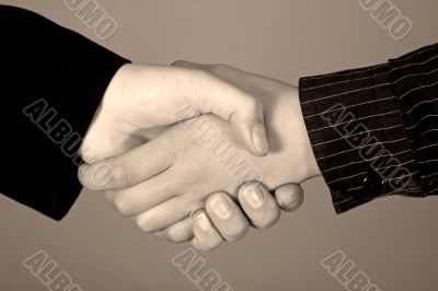Handshake