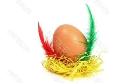 Measter egg