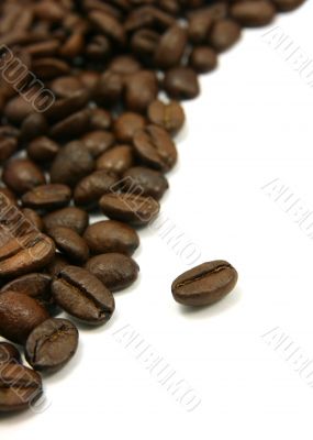 Curved coffee beans