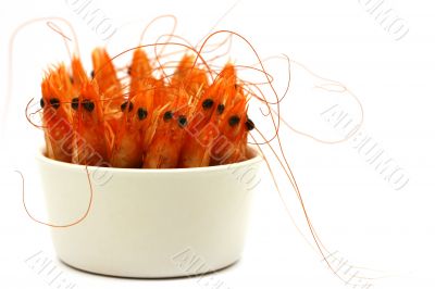 shrimps in a bowl