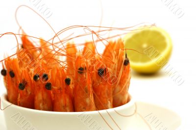 shrimps in a bowl