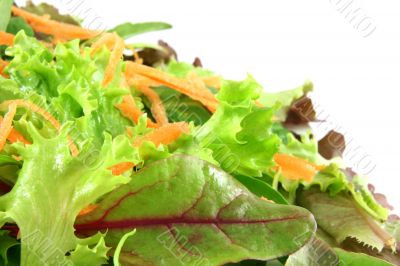 Fresh mixed lettuces, with carrots