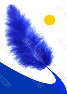 Blue feather`s way