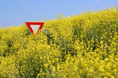 Stop aux OGM - Stop GMO