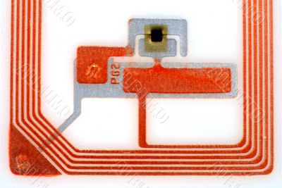 Close ups of tags