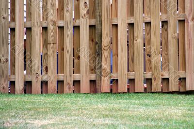 Board on Board Wood Fence