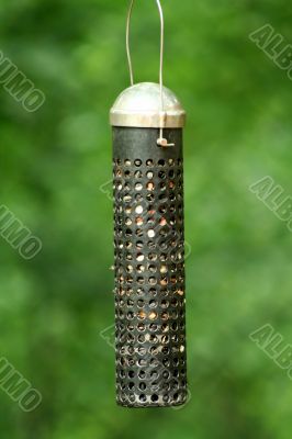 Bird Feeder