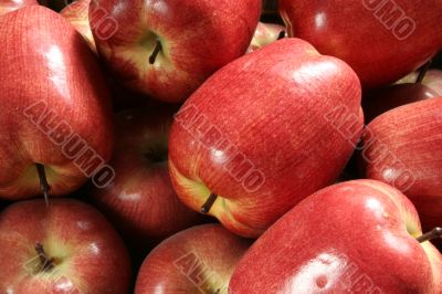 Ornamental Apples