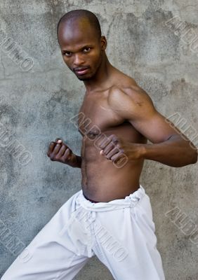 the fighter