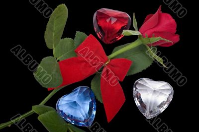 Valentine roses