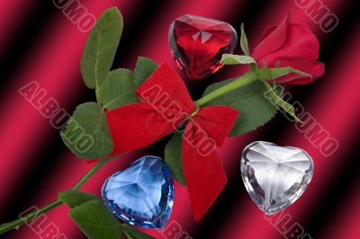 Valentine roses