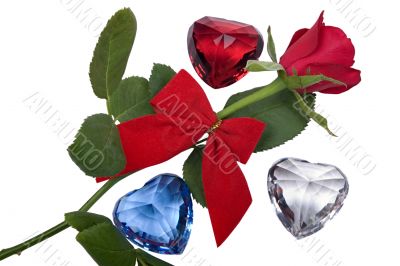 Valentine roses