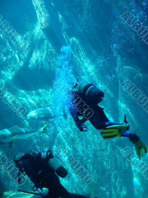 scuba divers